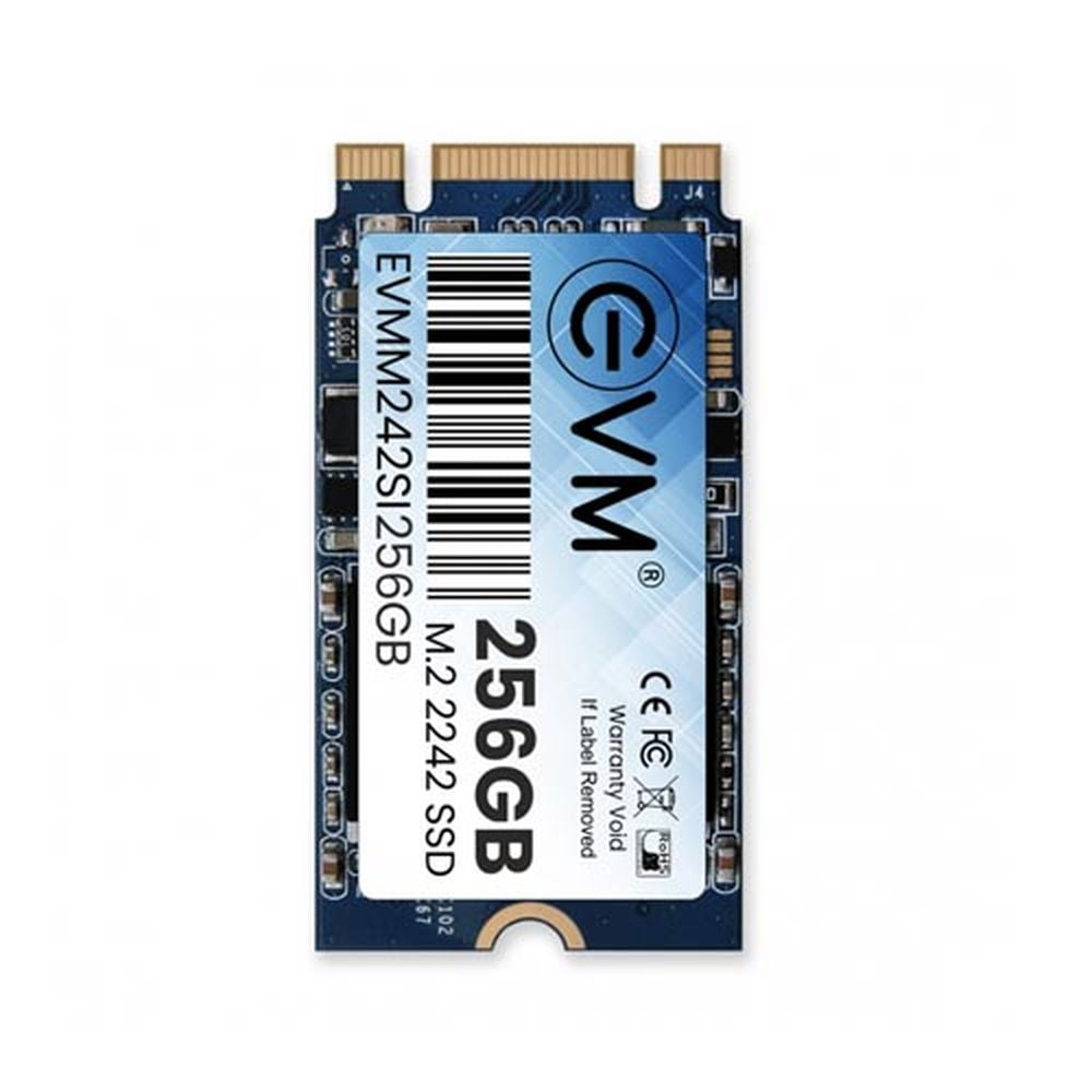EVM 256GB M.2 SATA Solid State Drive ( SSD )