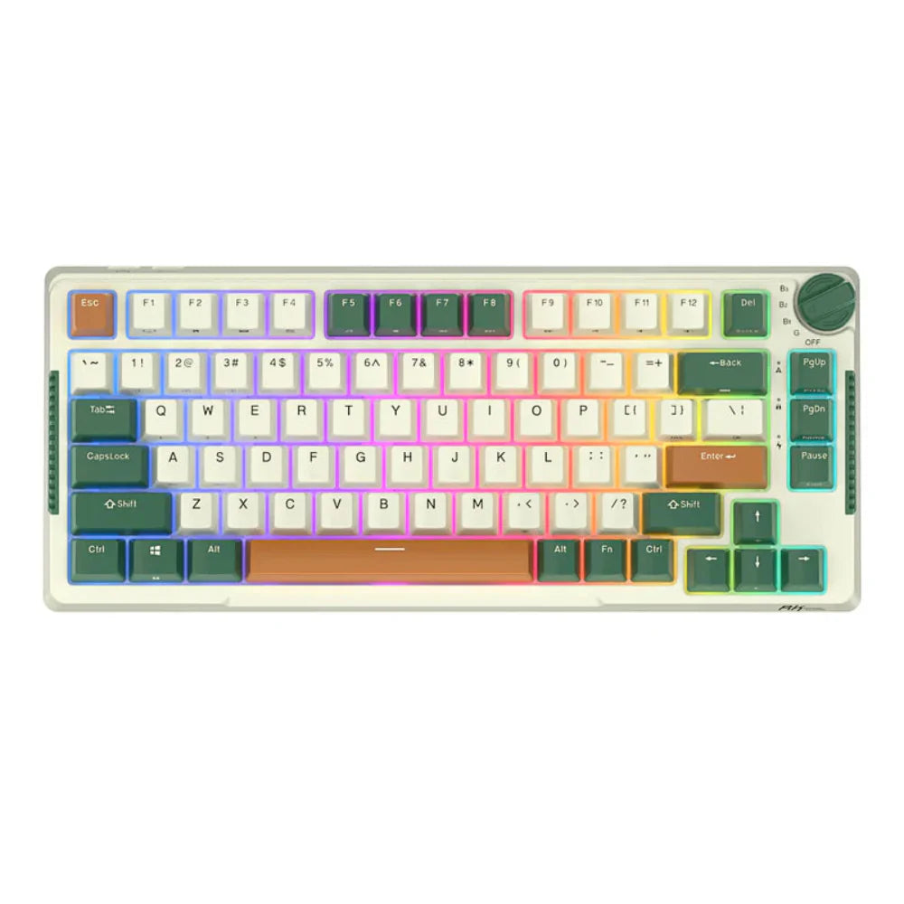 ROYAL KLUDGE RK H81 75% Wireless Mechanical Gaming Keyboard ( Green ) ( Brown Switch )