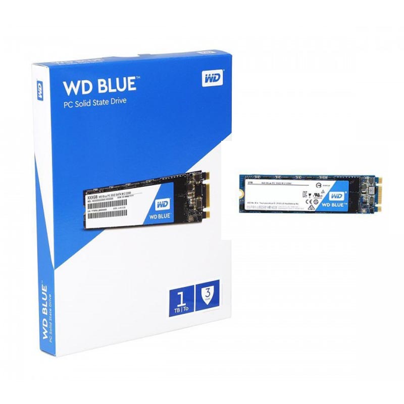 WESTERN DIGITAL Blue 1TB M.2 SATA SATA 3 Solid State Drive ( SSD )