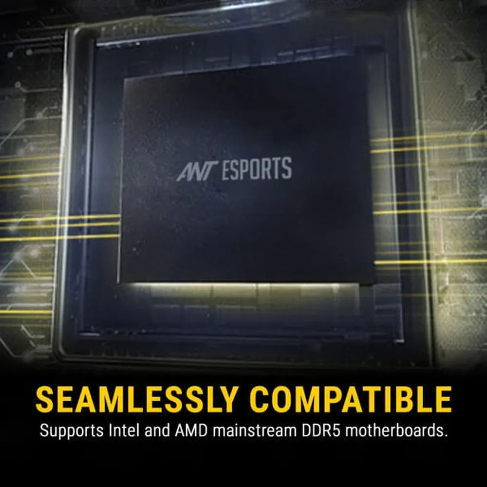 ANT ESPORTS 690 Neo FP 32GB (32GB x 1) 5200MHz DDR5 Laptop RAM (Black) ( CL42 )