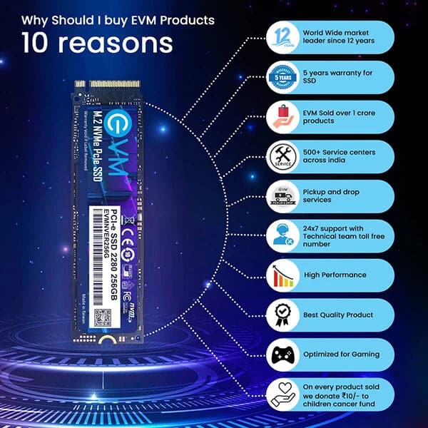 EVM 256GB M.2 NVMe Gen3 Solid State Drive (SSD)