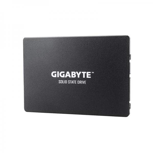 GIGABYTE 256GB 2.5 SATA SATA 3 Inernal Solid State Drive (SSD)