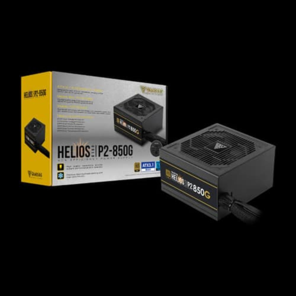 GAMDIAS Helios P2-850G 850 Watt 80 Plus Gold Non Modular ATX 3.0 Power Supply (Black)