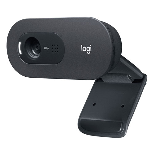 LOGITECH C505 HD Webcam