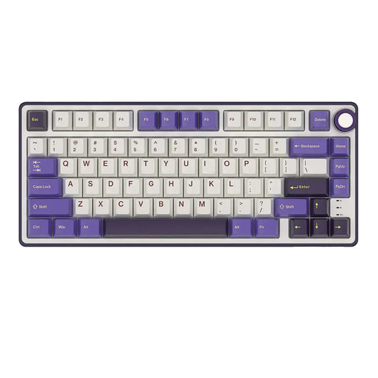 ROYAL KLUDGE RK R75 75% RGB Mechanical Wired Gaming Keyboard ( Blackberry Mousse ) ( Silver Switch )