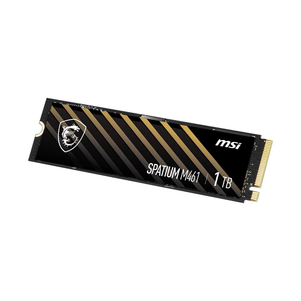 MSI Spatium M461 1TB M.2 NVMe Gen4 Internal Solid State Drive (SSD)