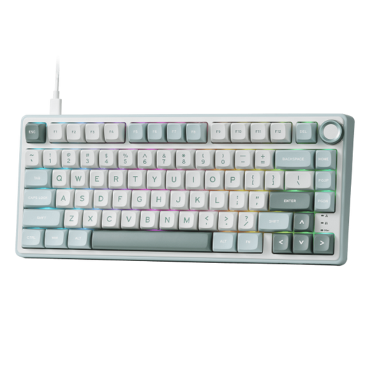 ROYAL KLUDGE R75 75% Wired Mechanical Gaming Keyboard ( Skycyan ) ( Blue Switch )