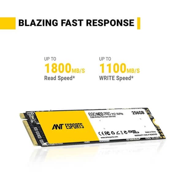 ANT ESPORTS 690 Neo Pro 256GB M.2 NVMe Gen3 Solid State Drive (SSD)