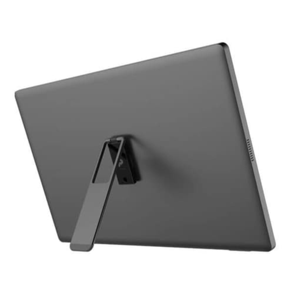 MSI Pro MP161 E2 16 Inch FHD 60Hz IPS Panel 53% SRGB 4MS Adaptive Sync IPS Business Monitor