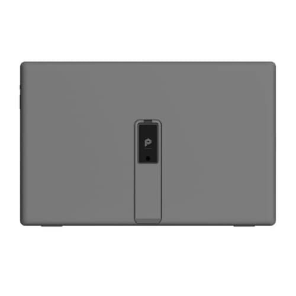 MSI Pro MP161 E2 16 Inch FHD 60Hz IPS Panel 53% SRGB 4MS Adaptive Sync IPS Business Monitor